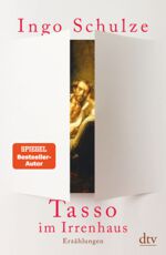 Tasso im Irrenhaus: Erzählungen